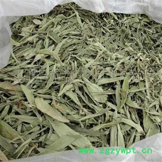 甜叶菊 茶用甜叶菊 产地 安徽省图2