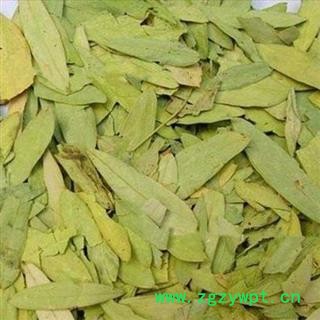 番泻叶 泻叶统货 产地 广西壮族自治区 产地直销 重在质量图2