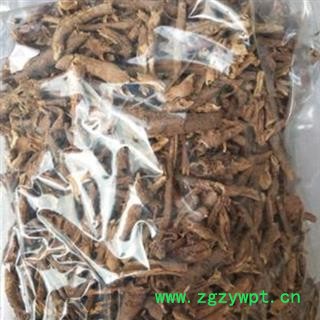 五加皮 香五加 好统 纯净货 产地 山西省图2