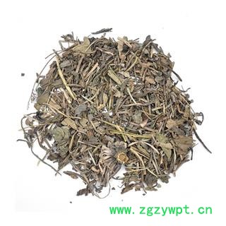 【满298元包邮】大青叶 大青叶统货 产地 甘肃省 一公斤一袋图3