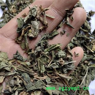 大青叶 统 产地 河北省保定市安国市图2