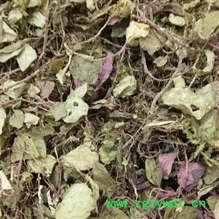 风柜斗草 风不动正品保证质量图3