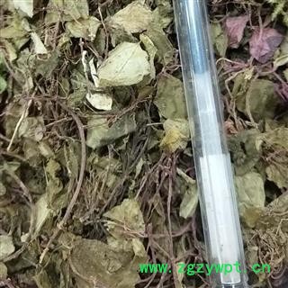 风柜斗草 风不动正品保证质量图4