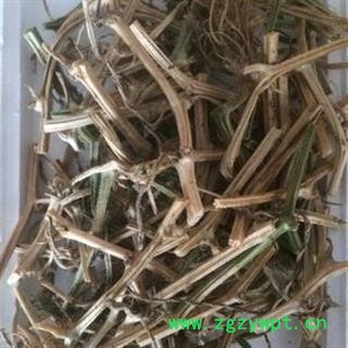 黄瓜藤 黄瓜秧 黄瓜根 正品保证质量7天无理由退货退款 华安堂图2