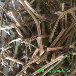 黄瓜藤 黄瓜秧 黄瓜根 正品保证质量7天无理由退货退款 华安堂图4