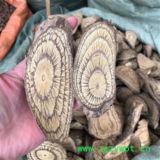 买麻藤 麻骨风 买子藤 大节藤 正品保证质量7天无理由退货退款 华安堂图4