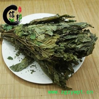 人参叶吉林人参茎叶长白山山参无硫人参叶参叶专注品质，诚信信邦！图3