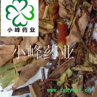 石韦 小叶 石伟 新货 纯干 产地 云南省图2