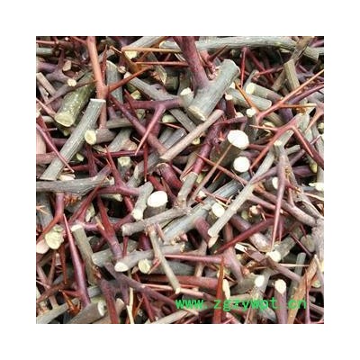 皂角刺 皂角刺 有刺有杆 产地 山东省