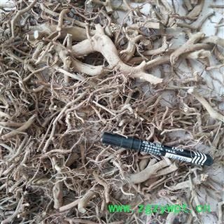 新辉药业正品虎刺根 绣花针图2