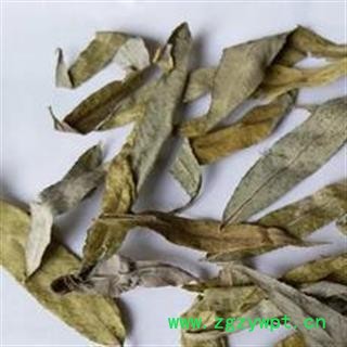 新辉药业中药材柳叶图2