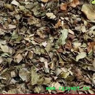 新辉药业中药材柳叶图3