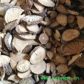 圣草康园 青风藤  青藤 寻风藤 清风藤图2