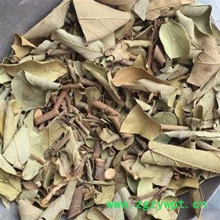 吉康药业 爬山虎 攀墙风 三角风 爬墙虎 小叶红藤图2