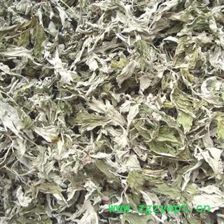 艾叶 统 产地 山东省 华美中药 产地直销 重在品质图2