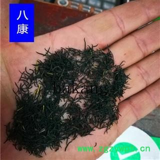 杜仲雄花  花01图2