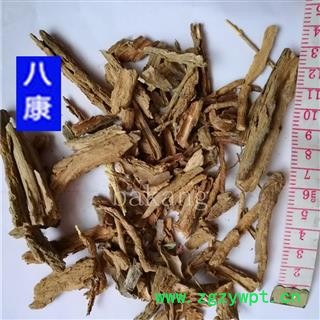 地骨皮  02统图3