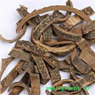 海桐皮 海桐皮 好统货 产地 四川省图2