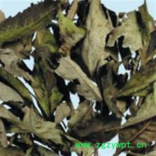 牡荆叶 别明 荆叶 布荆叶 正品保证质量 华安堂图3