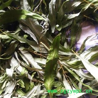 柳叶 柳树叶 正品保证质量7天无理由退货退款 华安堂图2