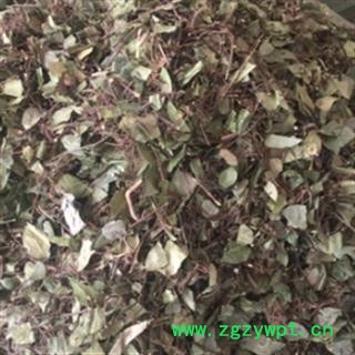 新辉药业正品络石藤 机切统货 优质无硫图2