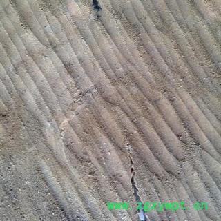 新辉药业沉香 另有檀香 降香多种规格图2