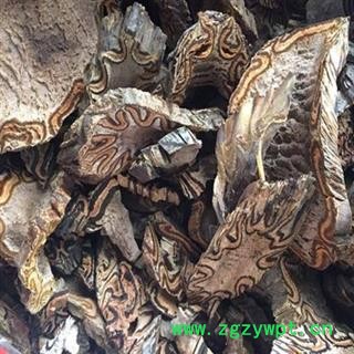 新辉药业正品中药材龙骨风 贯众 大贯众图2