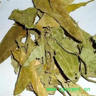 橘叶 正品保证质量7天无理由退货退款 安品堂图4