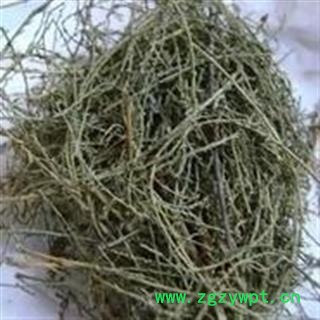 西河柳 观音柳 山川柳 正品保证质量7天无理由退货退款 安品堂图3