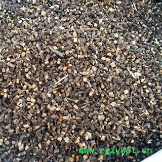 桂枝 桂枝尖选货 产地 广西壮族自治区 国药堂 专注品质图3