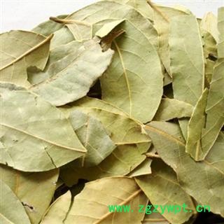 香叶 新货 颜色绿味道浓 产地 广西壮族自治区 产地直销 重在质量图2