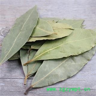 香叶 新货 颜色绿味道浓 产地 广西壮族自治区 产地直销 重在质量图3