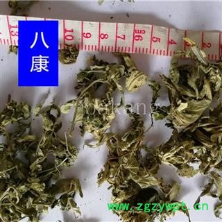 艾叶 个子 统货图2