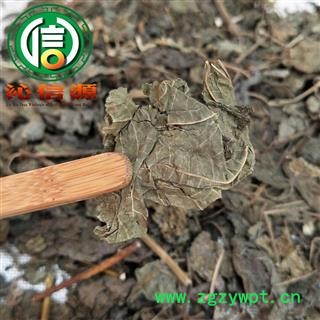 【满包邮】紫苏叶统货散装河北产地直供沁信源中药批发图2