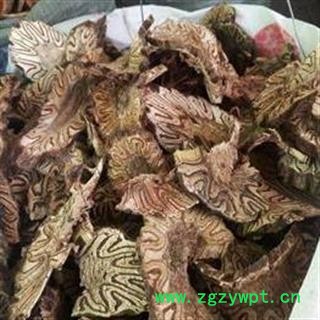 龙骨风 大片干净无杂质 选货 飞天擒罗 山卡捞 正品保证质量7天无理由退货退款 安品堂图4