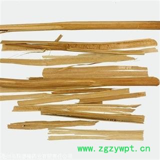 悬钩木 悬勾木 正品保证质量7天无理由退货退款 华安堂图2