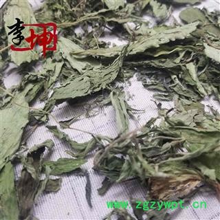 【99包邮】甜叶菊 统货  菊花 产地 四川省图3