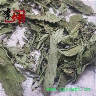 【99包邮】甜叶菊 统货  菊花 产地 四川省图4