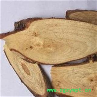 松节油松节  松木节 松枝  油松节 华安堂图2