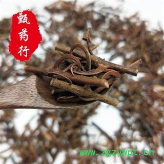 钩藤 钩藤含钩百分之30及以上 一手货源正品批发 产地湖南 甄选药材行图4