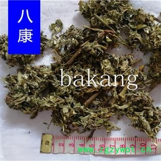 艾叶 （小叶）图2