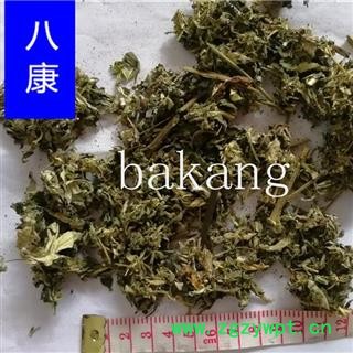 艾叶 （小叶）图3