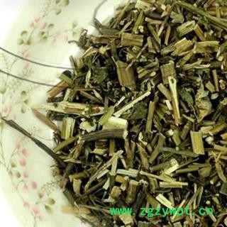 紫苏梗 01 紫苏梗 统 产地 湖南省邵阳市隆回县图2