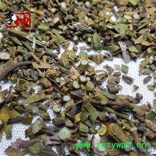 【99包邮】寄生 东北槲寄生统货 桑寄生【良心经营 品种齐全】图4