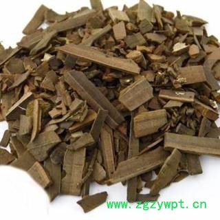 鬼箭羽 鬼箭羽鳞片统 产地 陕西省 产地直销 重在质量图2