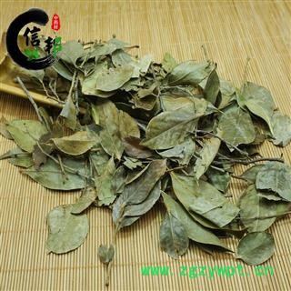 乌饭树叶南烛叶南烛枝叶产地直销专注品质，诚信信邦！图3