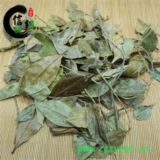 乌饭树叶南烛叶南烛枝叶产地直销专注品质，诚信信邦！图4