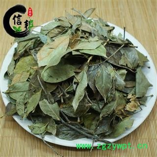 乌饭树叶南烛叶南烛枝叶产地直销专注品质，诚信信邦！图2