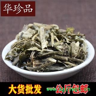 常春藤 01 常春藤 统 产地 广东省茂名市电白县图2