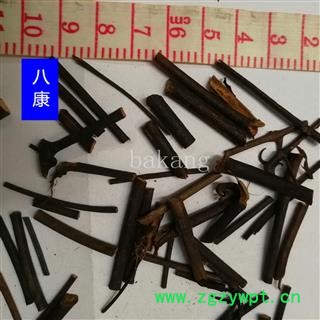 钩藤 01统 产地 江西省赣州市大余县图3